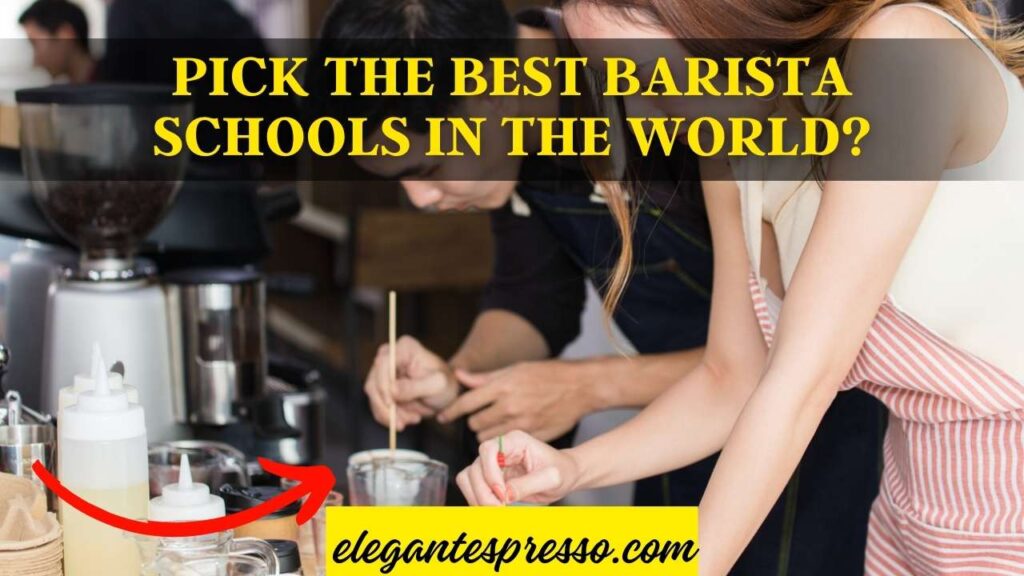 10 Best Barista Schools in the World - pick the best