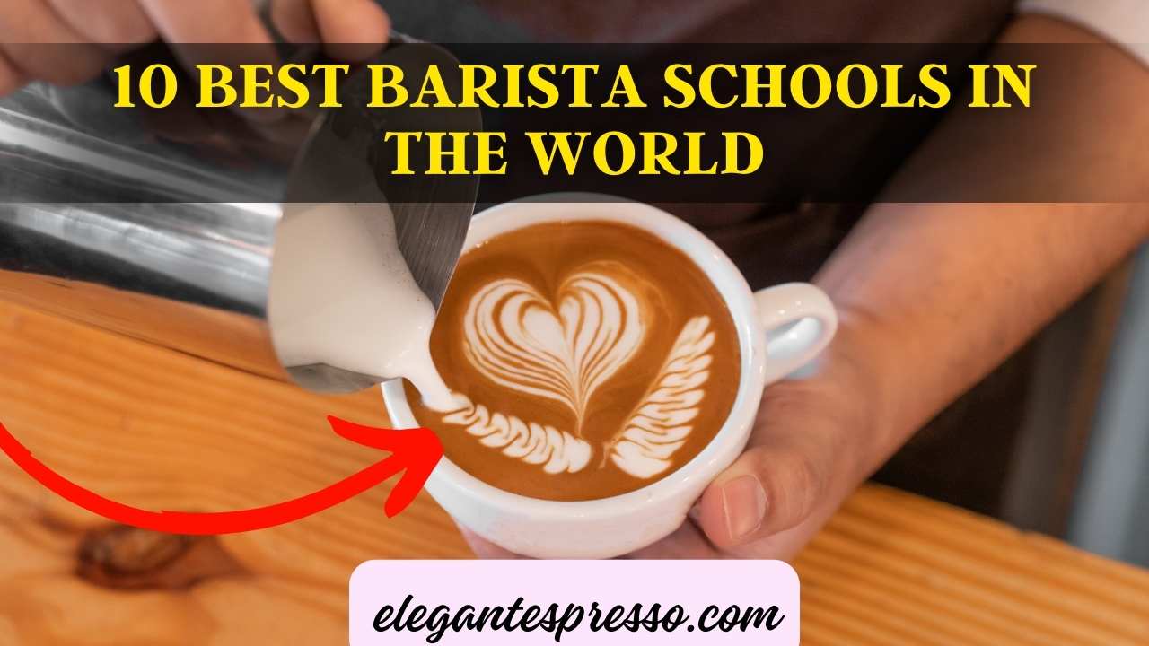 10 Best Barista Schools in the World